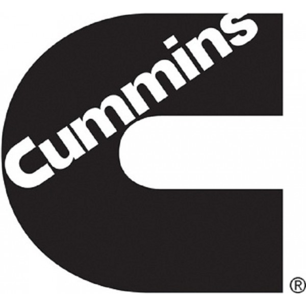 CUMMINS INSITE