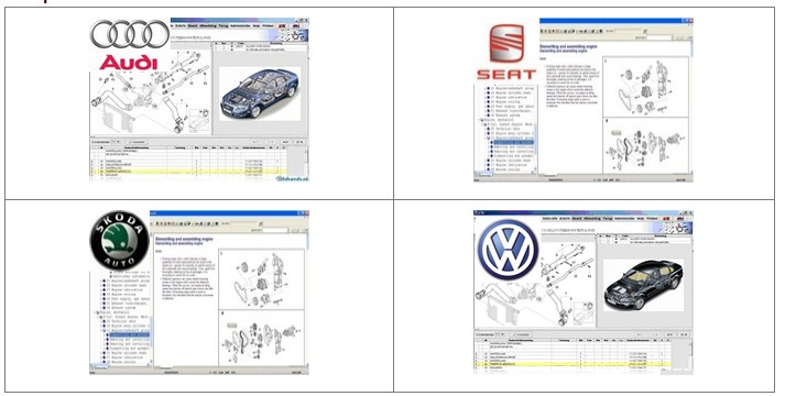 elsawin online 5.1